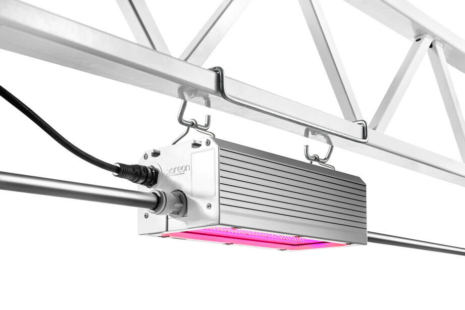 FloralDaily: Oreon launches the smallest and most powerful 1000W LED fixture for greenhouse horticulture.